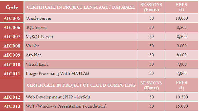 Lab Classes for IT Students